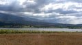 Clouds Sunrays Sunflowers Fields Kestel Bursa Turkey Royalty Free Stock Photo