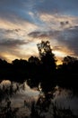 Clouds, trees and reeds reflected in the water of a lake at dawn, at sunrise Royalty Free Stock Photo