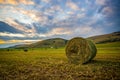 Clouds on the twillight and wheat ballots