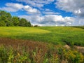 Captivating Summertime View Royalty Free Stock Photo