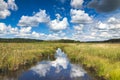 Clouds and Water over the Marsh at William O`Brien State Park