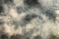 Clouds of white smoke from a village fire in the sunlight Royalty Free Stock Photo