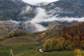 clouds in a wooded valley