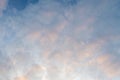 Cloudscape for background. White clouds closeup touched by soft orange sunset light Royalty Free Stock Photo