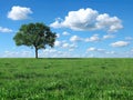 Cloudscape - Blue sky and white clouds, wide panorama Royalty Free Stock Photo