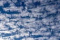 Cloudscape of Cumulus Clouds on a bright sunny afternoon