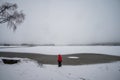 A cloudscape of an explorer girl wearing red jacket in winter wonderland trees covered with white snow and horizon view