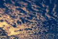 Cloudscape. Nightly sky with moon behind tree. Outdoors at night Royalty Free Stock Photo