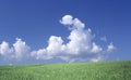 Cloudscape over green field