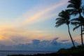 Cloudscape with Palm Trees