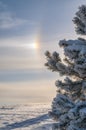 Cloudscape and sun halo in sky