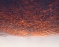 Cloudscape at sunset with red clouds on sky Royalty Free Stock Photo