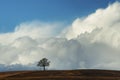 Cloudspace above a lone tree