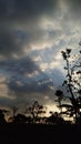 Cloudy afternoon When playing kites