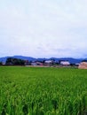 A blue sky with the mountains Royalty Free Stock Photo