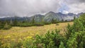 Cloudy alpine landscape. Meadow with green grass and mountains in the background. Valley in the mountains scenery in the summer