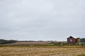 Autumn and harvested corn field with a Wisconsin quilt barn in the distance