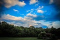 Cloudy blue skies and green silhouette trees