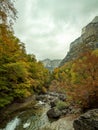 Cloudy canyon in autumn Royalty Free Stock Photo