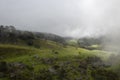 Cloudy countryside landscape with andean forest and ancient monoliths