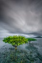 Cloudy day looks like it\'s going to rain Royalty Free Stock Photo