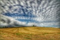 Cloudy day over field
