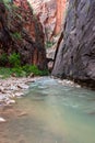 Cloudy day shot of the Narrows, Zion National Park, Utah, USA. Royalty Free Stock Photo