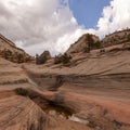 Rain water collects in ephemeral pools in Zion Nat. Park Utah, USA