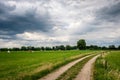 Cloudy Dutch Summer landscape in June near Delden Twente, Overijssel