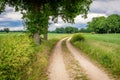 Cloudy Dutch Summer landscape in June near Delden Twente, Overijssel