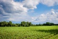 Cloudy Dutch Summer landscape in June near Delden Twente, Overijssel