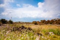 Cloudy evening landscape with two windgenerator at a coast in Jeju Island, Korea. Royalty Free Stock Photo