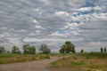 Cloudy evening on the shore of the Sea of Azov