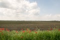 Cloudy field landscape