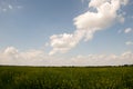 Cloudy field landscape