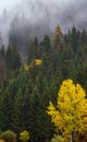 Cloudy and foggy autumn alpine mountain scene. Austrian Lienzer Dolomiten Alps