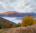 Cloudy and foggy autumn mountain early morning pre sunrise scene. Ukraine, Carpathian Mountains, Transcarpathia Royalty Free Stock Photo