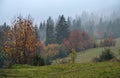 Cloudy and foggy autumn mountains scene. Peaceful picturesque traveling, seasonal, nature and countryside beauty concept scene. Royalty Free Stock Photo