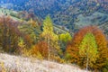 Cloudy and foggy day autumn mountains scene. Peaceful picturesque traveling, seasonal, nature and countryside beauty concept scene Royalty Free Stock Photo