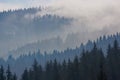 Cloudy forest landscape in Beskydy mountains