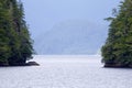 Cloudy Forest Peril Strait 845450