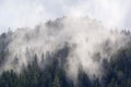 Cloudy Forest Peril Strait 842879