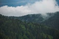 Cloudy grey rainy sky over old green coniferous wood at scenic highlands