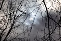 Cloudy grey sky partially obscures the moon visible between the silhouetted branches of a tree
