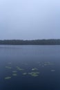 Cloudy lake view with lily pads Royalty Free Stock Photo