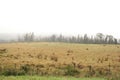 Cloudy Landscape of Tasmania Country side Royalty Free Stock Photo