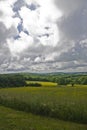 Cloudy meadows