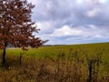 Cloudy Minnesota Autumn Landscape