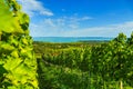 Landscape from Csopak Lake Balaton Royalty Free Stock Photo