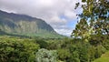 Cloudy Mountain, Omaluhia Botanical Garden